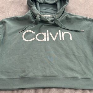 Calvin Klein Sage Green Logo Hoodie